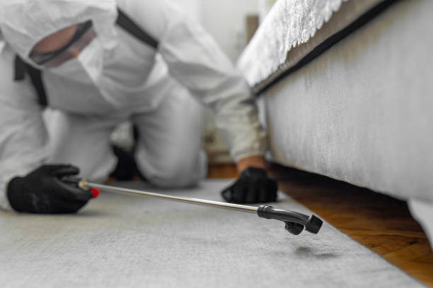 Professional Cockroach Control technician working in High Bridge, NJ