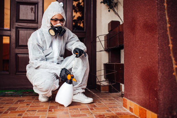 Reliable Cockroach Control contractor in High Bridge, NJ by Nex Pest Control