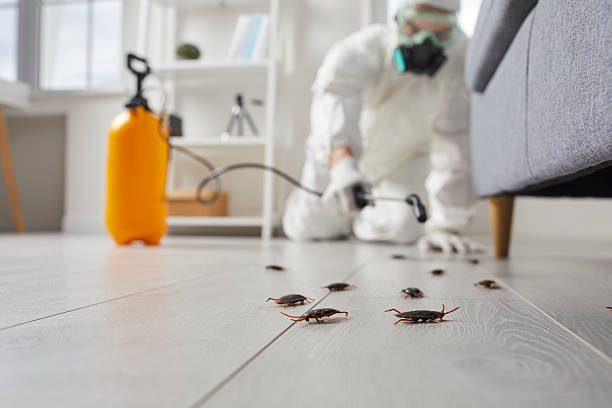 Affordable Cockroach Control solutions in High Bridge, NJ